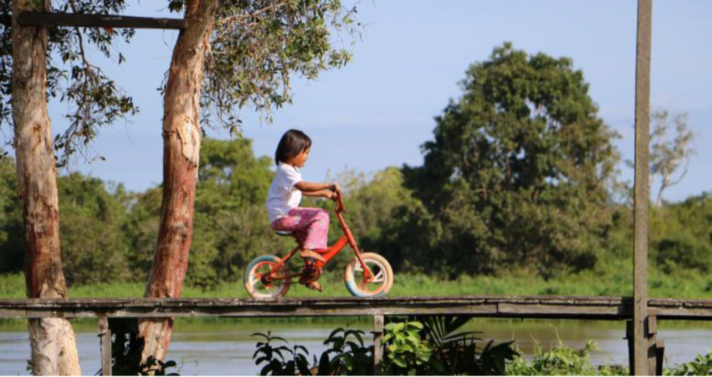 rimba raya